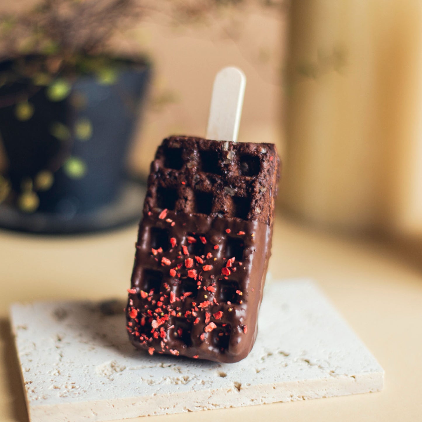 チョコづくしボックス4本入 (チョコ&ダブルチョコ) 送料無料