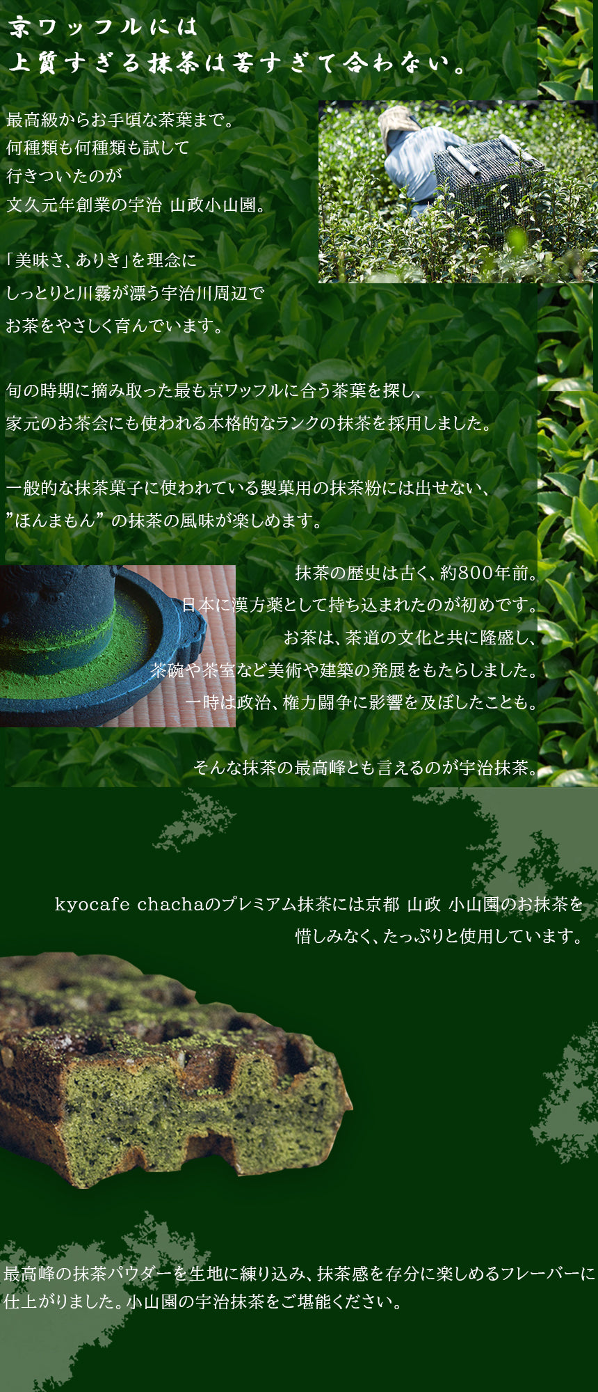 京ワッフル2本入 (抹茶&プレミアム宇治抹茶) 送料無料